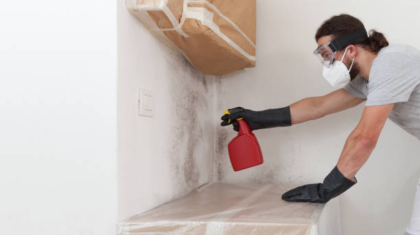Professional Mold Remediation technician working in Hartfield, VA