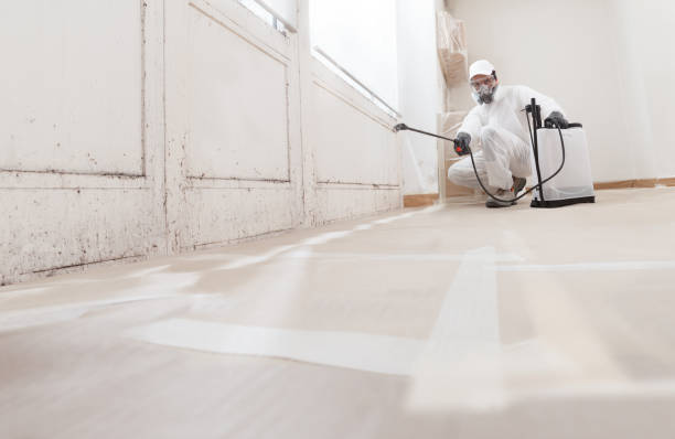 24/7 Emergency Mold Remediation experts in Hartfield, VA